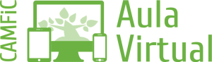 aulavirtual2